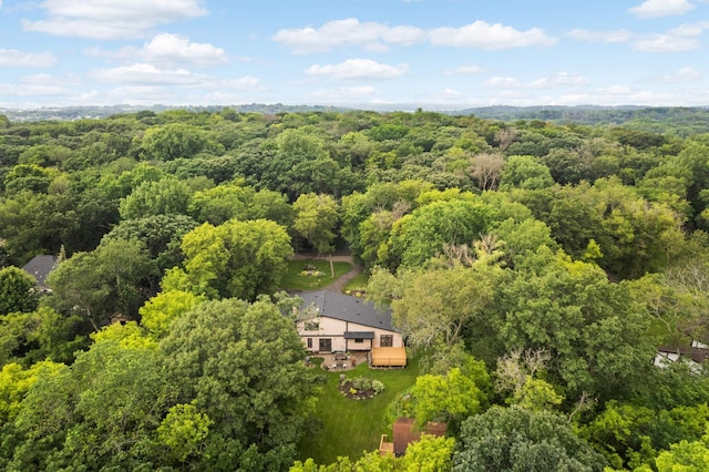 5853 Deer Trail Cir, Woodbury, MN 55129 - view of subject property with a forest