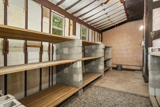 5853 Deer Trail Cir, Woodbury, MN 55129 - view of storage area