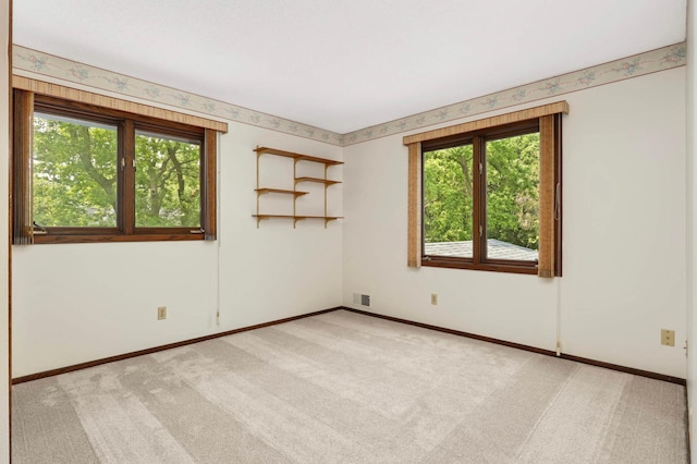 5853 Deer Trail Cir, Woodbury, MN 55129 - spare room featuring light colored carpet