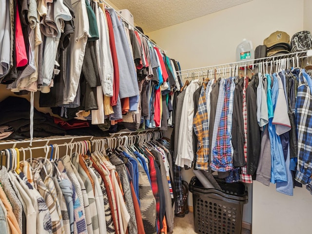 22184 Iman St NW, Nowthen, MN 55330 - view of walk in closet