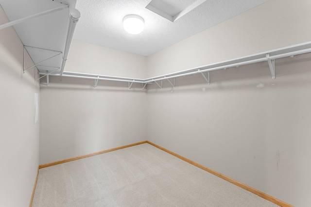spacious closet featuring carpet floors
