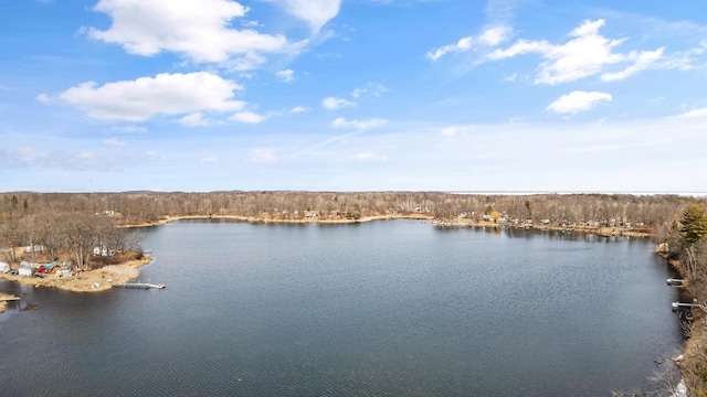 18482 Captive Lake Rd, Kathio Twp, MN 56450 - water view featuring a forest