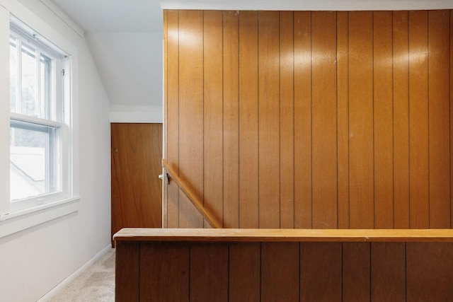 851 Watson Ave, Saint Paul, MN 55102 - staircase with carpet flooring, healthy amount of natural light, and baseboards