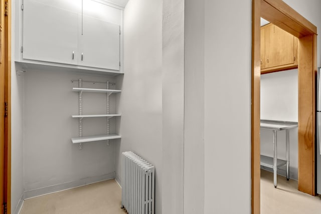 851 Watson Ave, Saint Paul, MN 55102 - closet featuring radiator heating unit