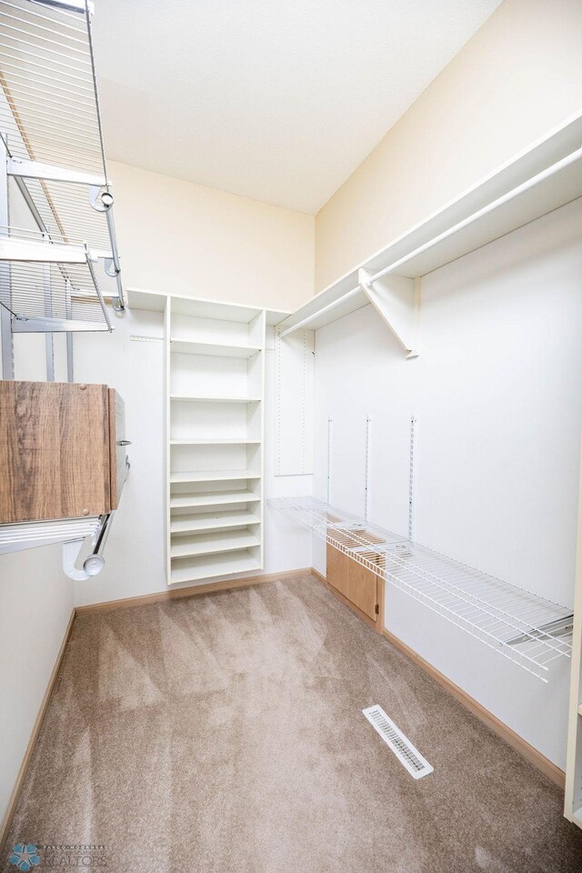 walk in closet featuring carpet and visible vents