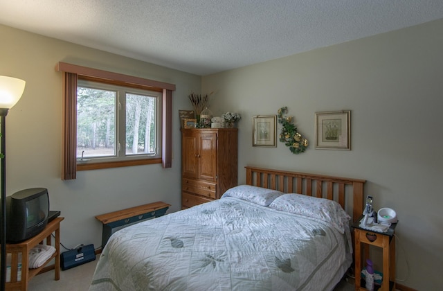 17639 Gayle Dr, Little Falls, MN 56345 - bedroom featuring carpet floors and a textured ceiling