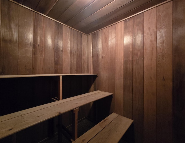 17639 Gayle Dr, Little Falls, MN 56345 - view of sauna