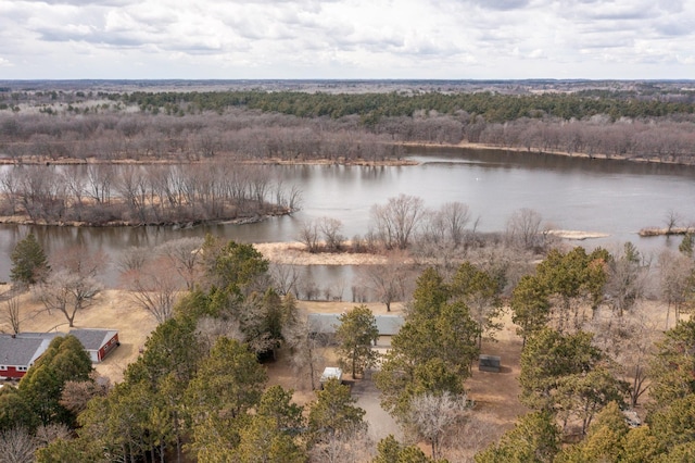 17639 Gayle Dr, Little Falls, MN 56345 - view of water feature featuring a wooded view
