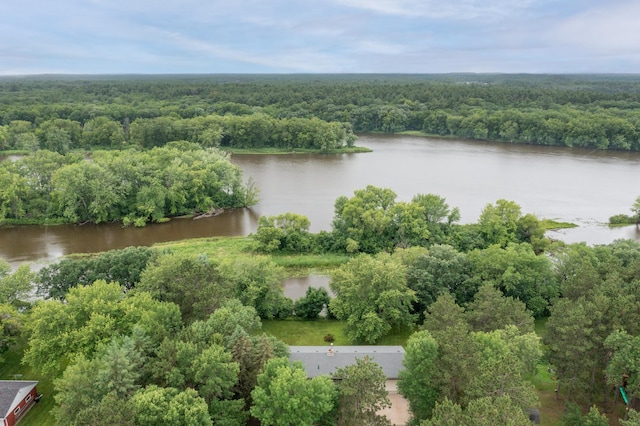 17639 Gayle Dr, Little Falls, MN 56345 - photo 38