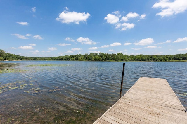 view of dock with a water view and a view of trees