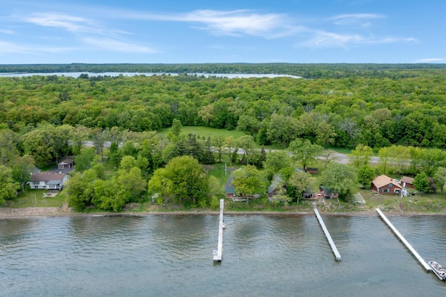 21594 452nd Pl, Aitkin, MN 56431 - drone / aerial view of a forest and a large body of water