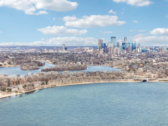 3104 Lake St Unit 202, Minneapolis, MN 55416 - aerial view of a view of skyline and a nearby body of water