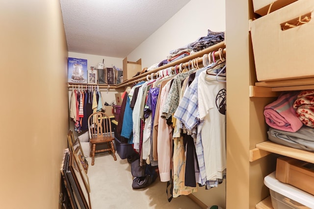 spacious closet with carpet floors