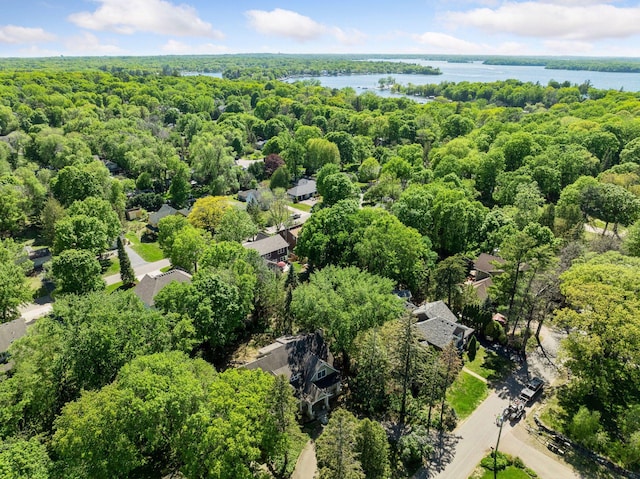 18975 Highland Ave, Deephaven, MN 55391 - drone / aerial view of a heavily wooded area and a nearby body of water
