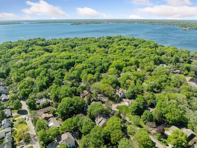18975 Highland Ave, Deephaven, MN 55391 - aerial view of a nearby body of water and a forest