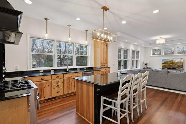 18975 Highland Ave, Deephaven, MN 55391 - kitchen with a sink, stainless steel appliances, dark wood-style floors, open floor plan, and recessed lighting