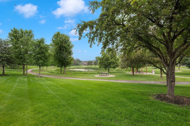 11102 16th St NE, Saint Michael, MN 55376 - view of community featuring a yard