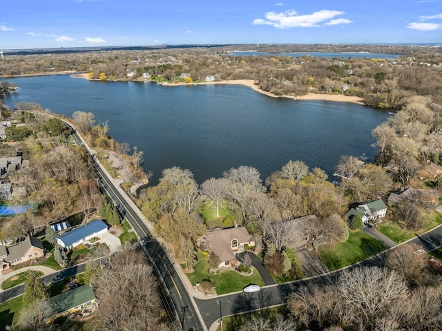780 Virginia Shores Cir, Excelsior, MN 55331 - aerial view of residential area with a nearby body of water
