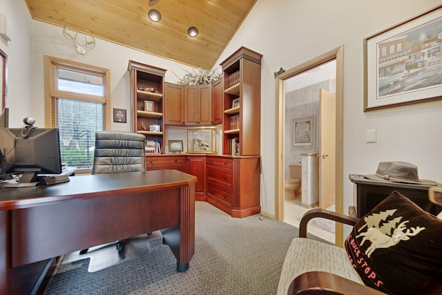 780 Virginia Shores Cir, Excelsior, MN 55331 - office featuring light carpet, vaulted ceiling, and wooden ceiling