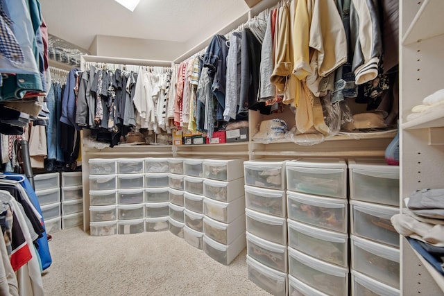 780 Virginia Shores Cir, Excelsior, MN 55331 - walk in closet featuring carpet
