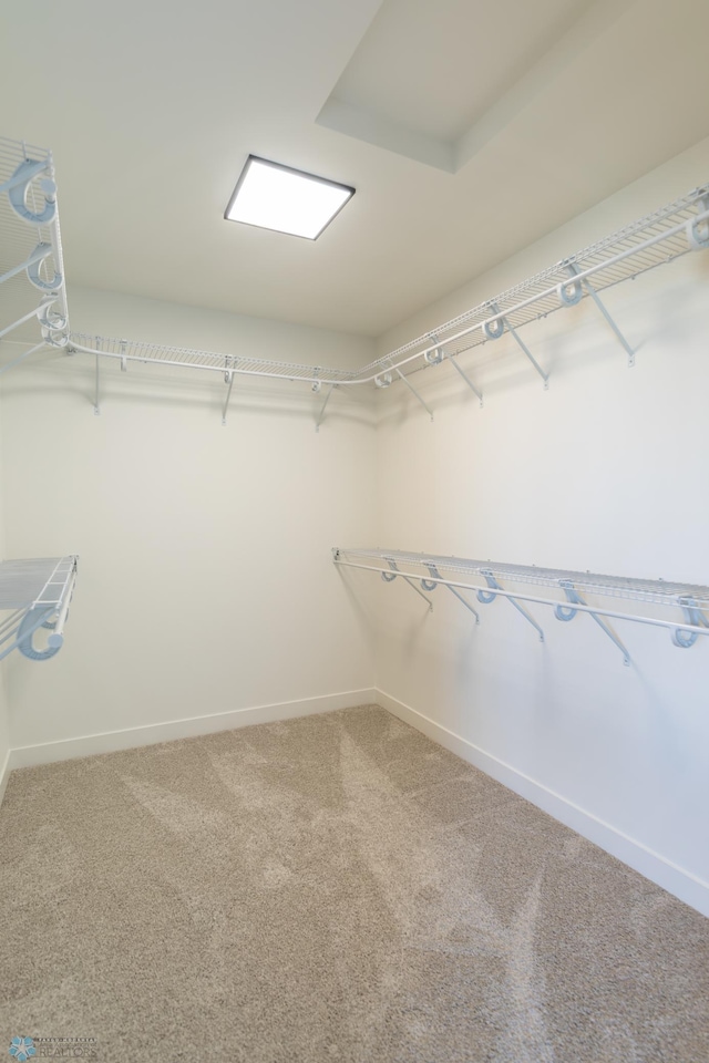 8030 59th St S, Horace, ND 58047 - spacious closet with carpet floors