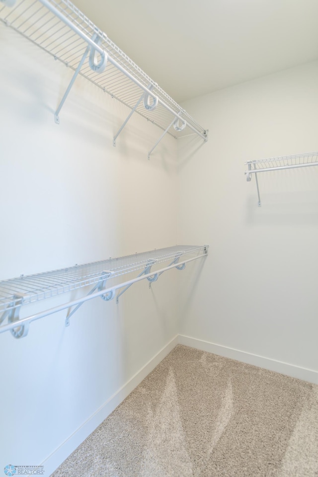 8030 59th St S, Horace, ND 58047 - spacious closet featuring carpet