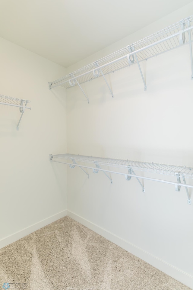 8030 59th St S, Horace, ND 58047 - spacious closet with carpet floors