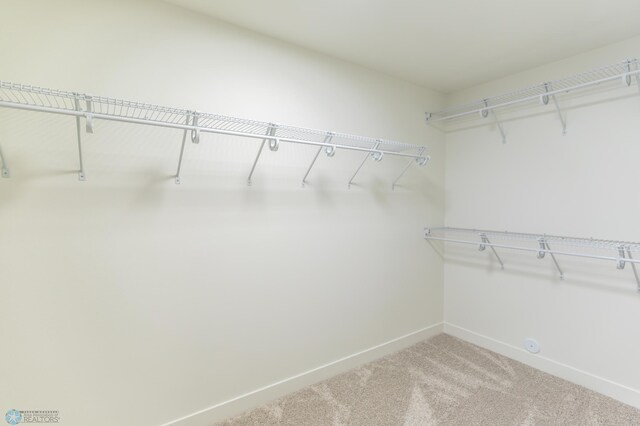 8030 59th St S, Horace, ND 58047 - walk in closet featuring carpet flooring