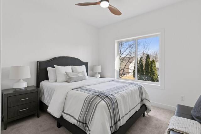 1251 Bellflower Ln NE, Owatonna, MN 55060 - photo 21