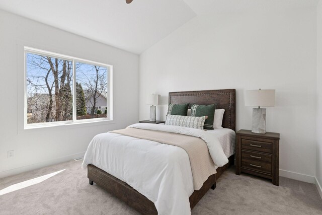 1251 Bellflower Ln NE, Owatonna, MN 55060 - photo 27