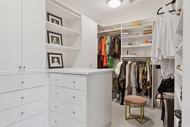 walk in closet with light carpet