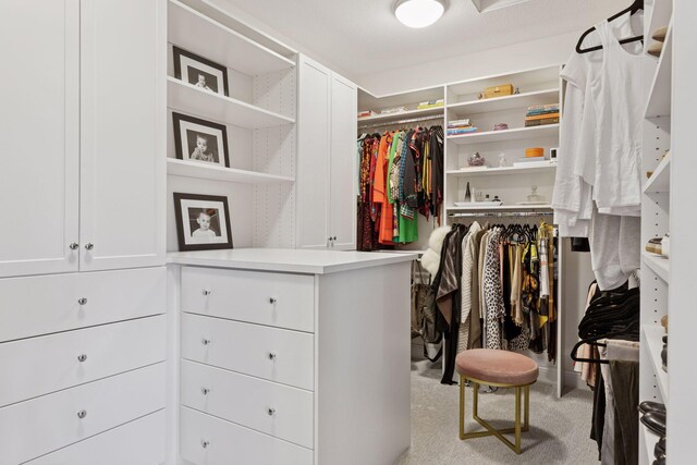 208 Byrondale Ave, Wayzata, MN 55391 - walk in closet featuring light colored carpet