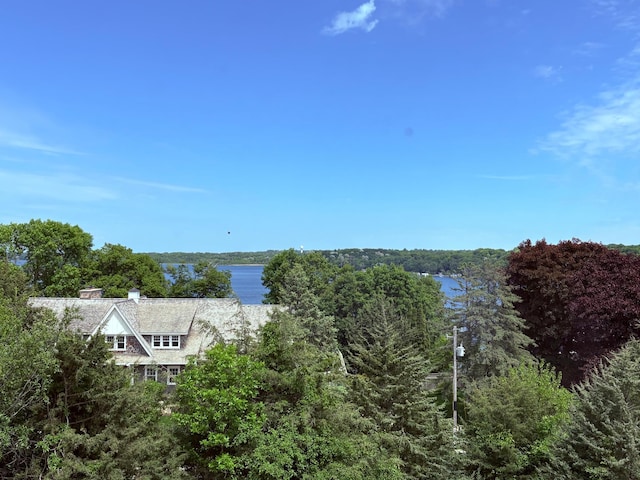 3861 Lone Cedar Ln, Chanhassen, MN 55318 - water view