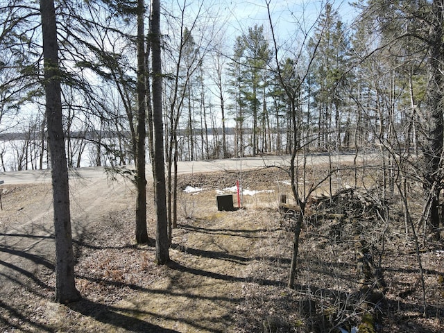 Listing photo 44 - caption unavailable