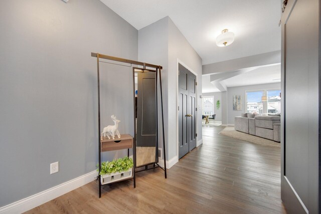 5204 Porchlight, Woodbury, MN 55129 - hallway with baseboards and wood finished floors