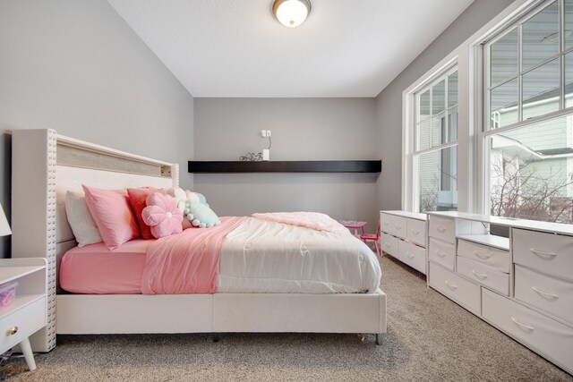 5204 Porchlight, Woodbury, MN 55129 - bedroom featuring light carpet