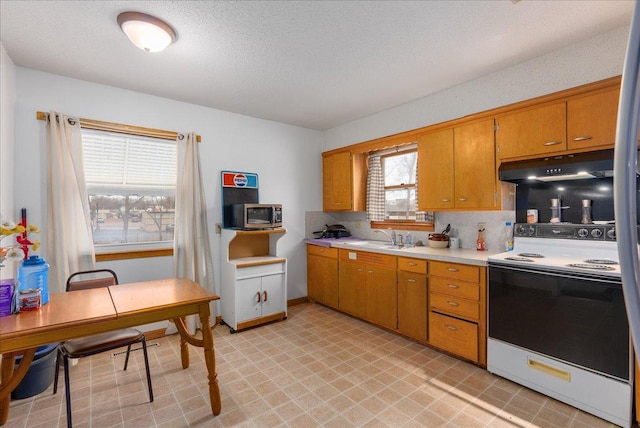 kitchen featuring light countertops, a sink, under cabinet range hood, stainless steel microwave, and electric range
