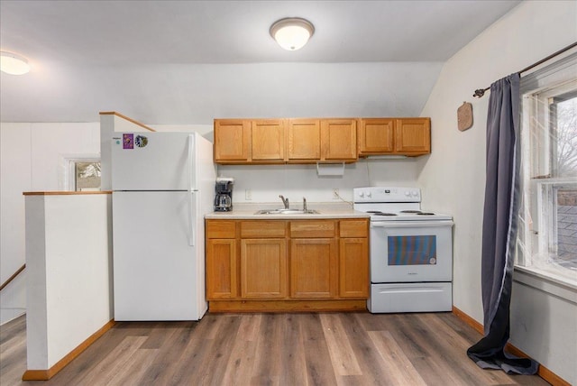 kitchen featuring white appliances, light countertops, a sink, and dark wood-style floors