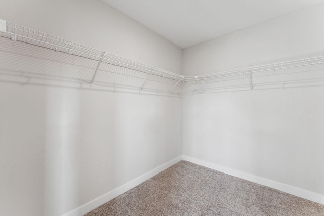 10071 Arrowwood Trl, Woodbury, MN 55129 - spacious closet featuring carpet
