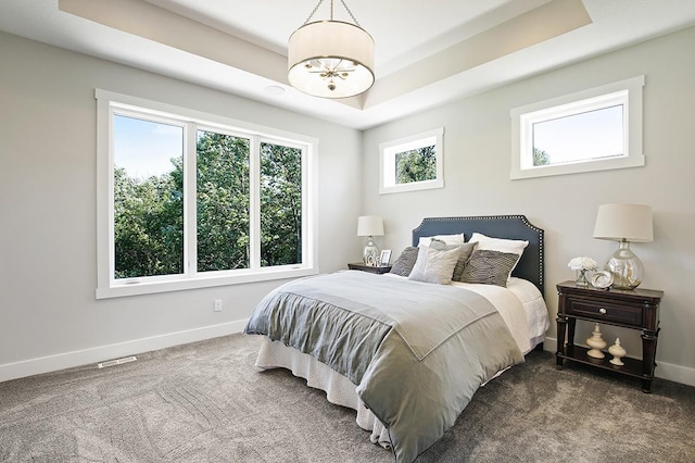 16999 Dakota St NW, Andover, MN 55304 - bedroom with a tray ceiling, carpet, and baseboards