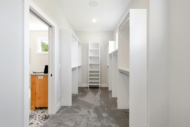 16999 Dakota St NW, Andover, MN 55304 - walk in closet featuring carpet