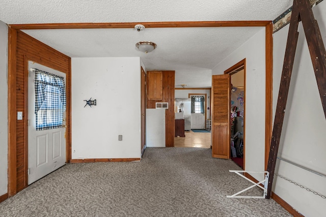 27928 Verdin St NW, Isanti, MN 55040 - foyer with carpet flooring, baseboards, a healthy amount of sunlight, and a textured ceiling