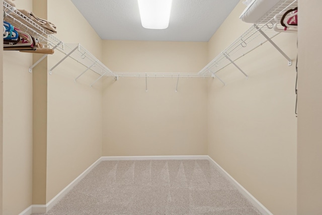 8127 Virginia Pl, Savage, MN 55378 - walk in closet with carpet