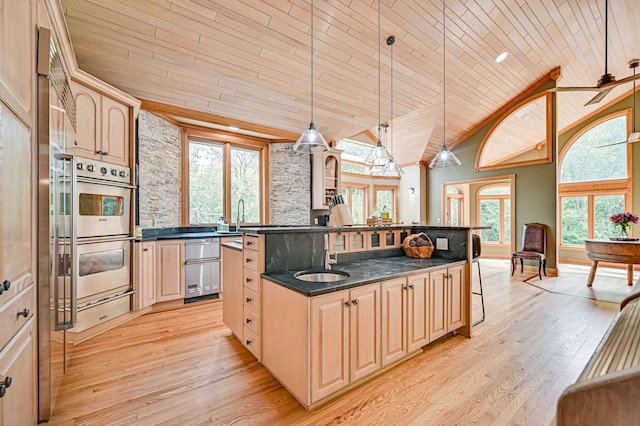10069 Stacy Trl, Chisago City, MN 55013 - kitchen featuring wood ceiling, plenty of natural light, a sink, light wood-type flooring, and double oven