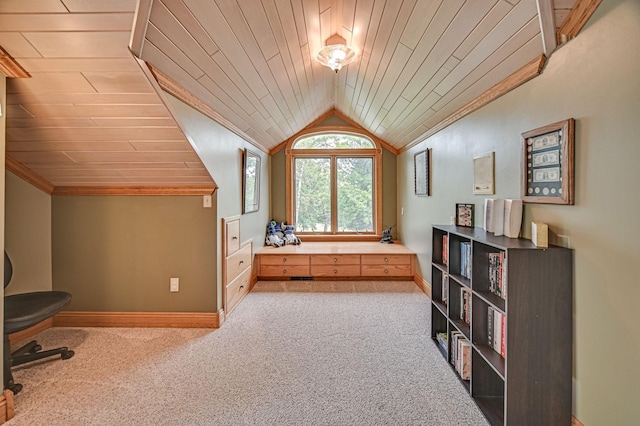 10069 Stacy Trl, Chisago City, MN 55013 - interior space featuring wood ceiling, vaulted ceiling, carpet flooring, and baseboards