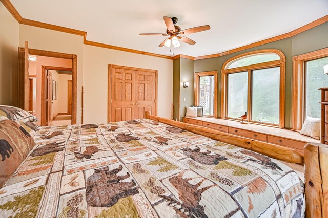 10069 Stacy Trl, Chisago City, MN 55013 - bedroom featuring multiple windows, ornamental molding, a ceiling fan, and a closet