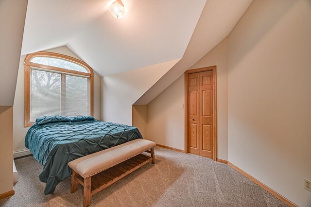 10069 Stacy Trl, Chisago City, MN 55013 - bedroom featuring lofted ceiling, carpet floors, baseboards, and a baseboard radiator
