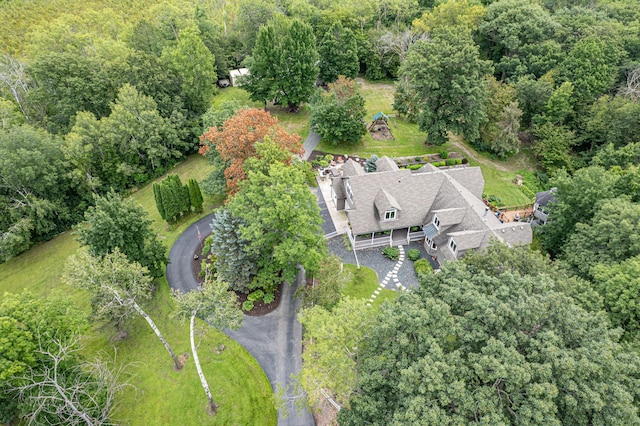 10069 Stacy Trl, Chisago City, MN 55013 - view from above of property featuring a forest