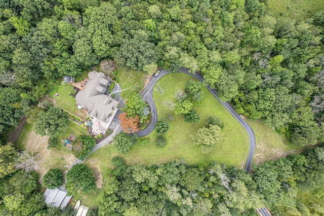 10069 Stacy Trl, Chisago City, MN 55013 - aerial view of property and surrounding area