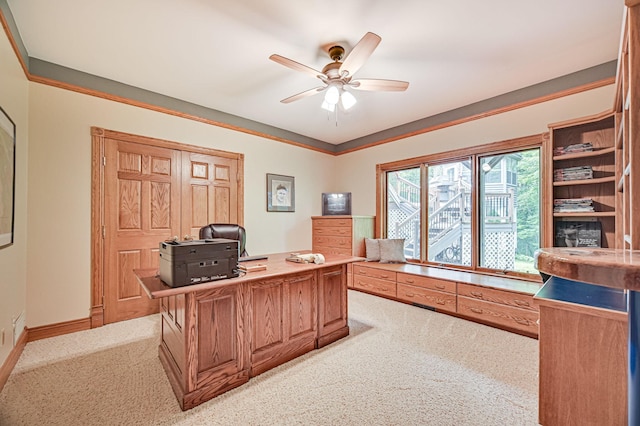 10069 Stacy Trl, Chisago City, MN 55013 - home office featuring light colored carpet and a ceiling fan